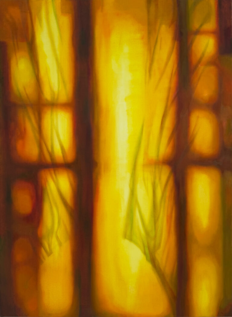 Shadows photo #6